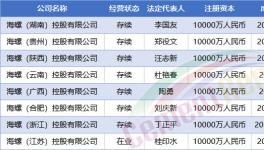 大動(dòng)作！中建材、海螺、紅獅成立35家新公司！